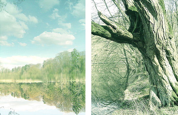 am see