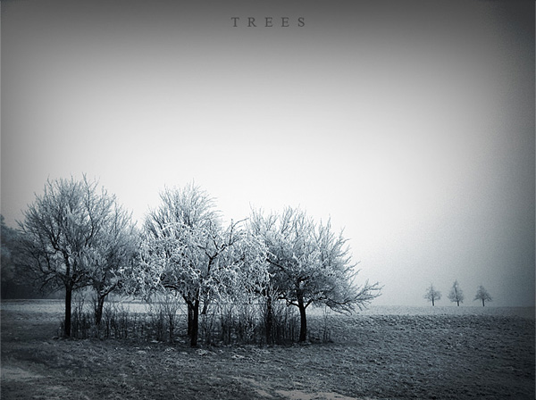 trees